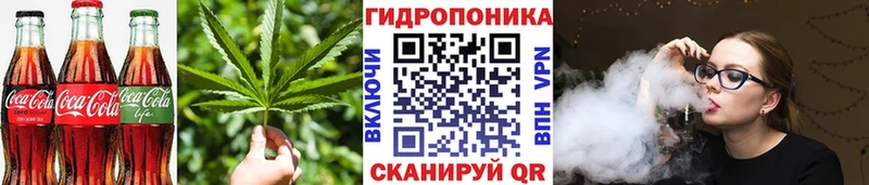 Cannafood конопля Приморск