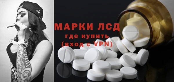 прущие грибы Алексеевка
