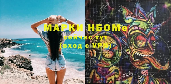 прущие грибы Алексеевка